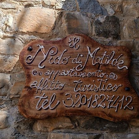 Il Nido Di Matilde _Monolocale Design Sul Fiume_ Apartman Rossena Kültér fotó